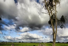 里昂对阵洛里昂，双方都渴望取胜