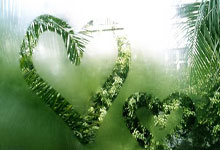 热刺主场击败水晶宫，豪取三分