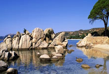 阿贾克斯主场取胜，埃因霍温火力全开