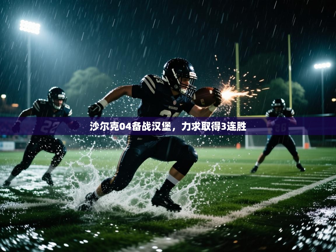 沙尔克04备战汉堡,力求取得3连胜 第1张