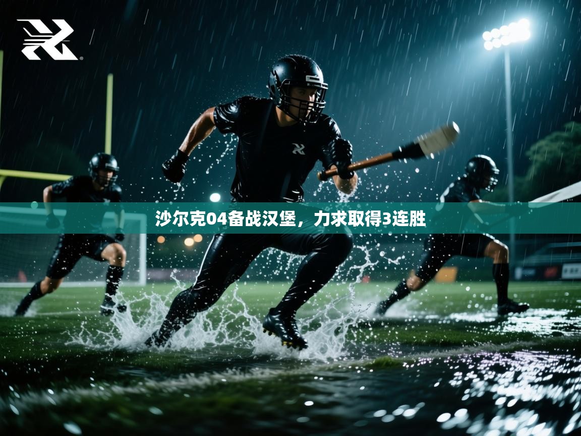 沙尔克04备战汉堡,力求取得3连胜 第2张