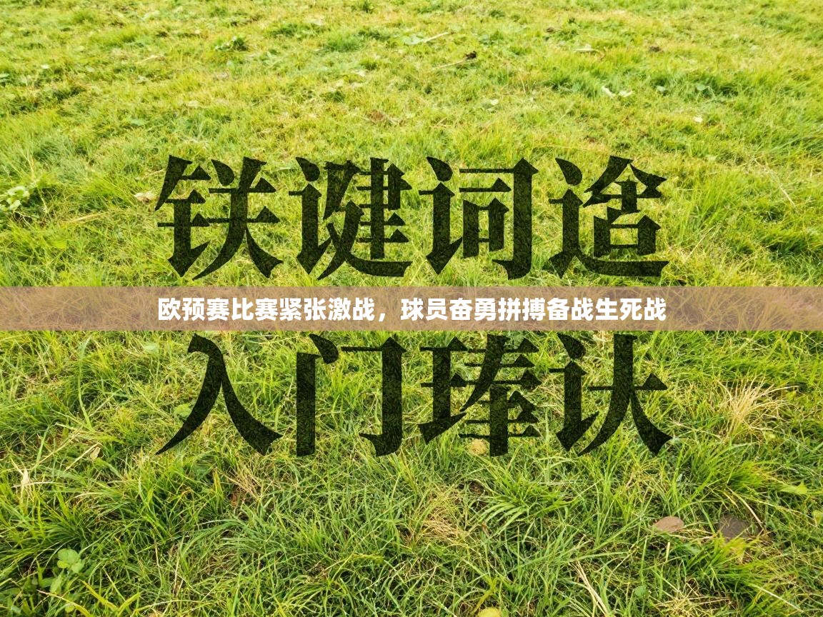 欧预赛比赛紧张激战，球员奋勇拼搏备战生死战  第1张