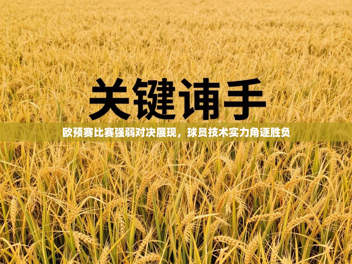 欧预赛比赛强弱对决展现，球员技术实力角逐胜负  第1张