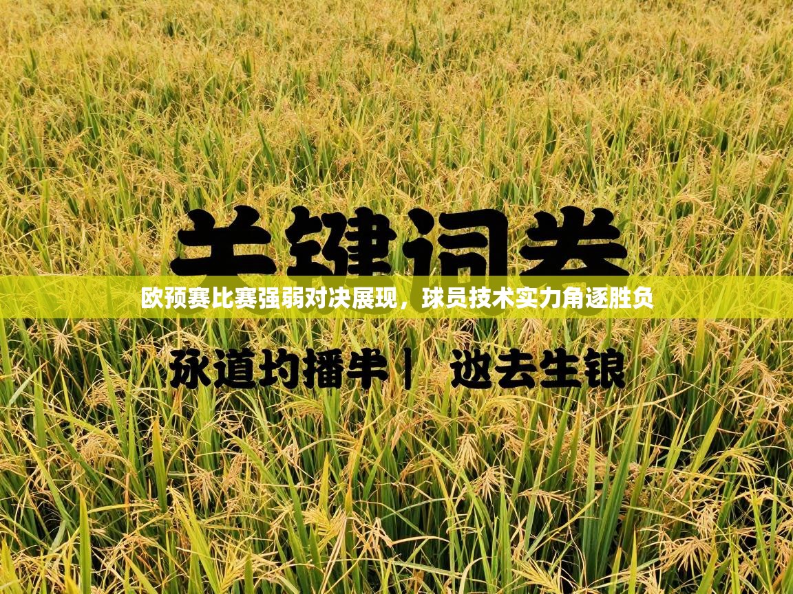 欧预赛比赛强弱对决展现，球员技术实力角逐胜负  第2张