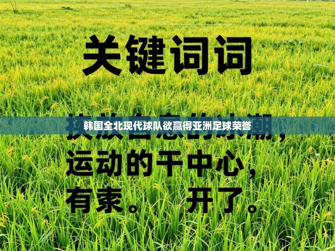 韩国全北现代球队欲赢得亚洲足球荣誉