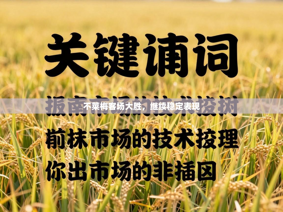 不莱梅客场大胜，继续稳定表现  第2张