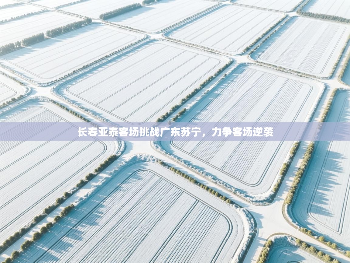 长春亚泰客场挑战广东苏宁，力争客场逆袭  第2张