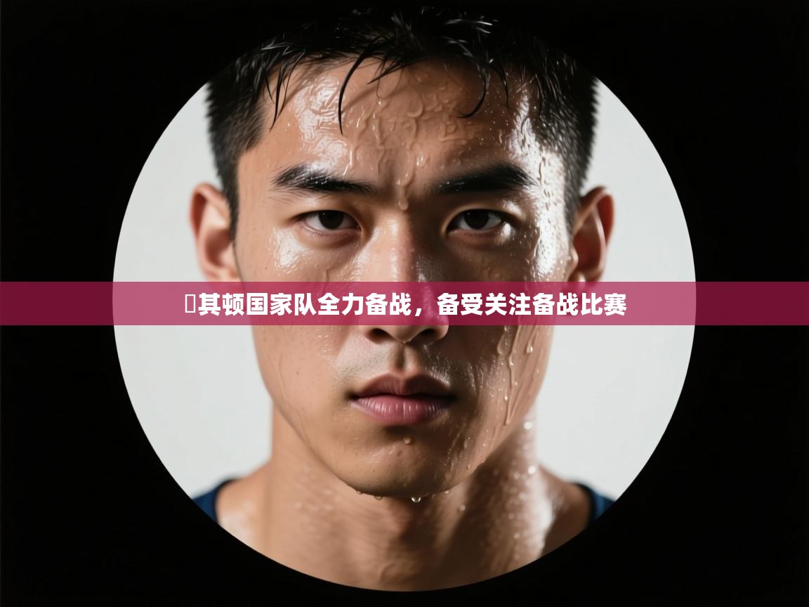 馬其顿国家队全力备战，备受关注备战比赛  第2张